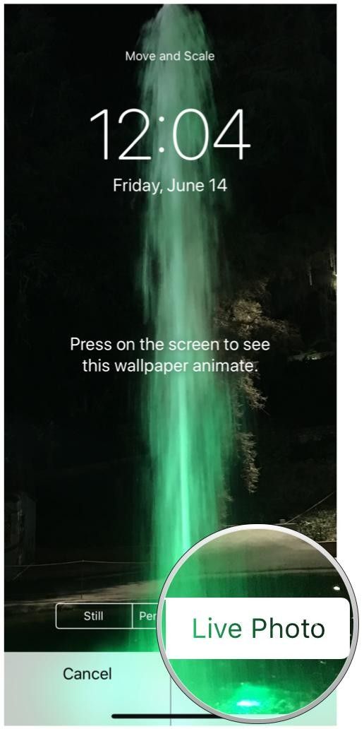 Убедитесь, что Live Photo выбран Убедитесь, что Live Photo выбран