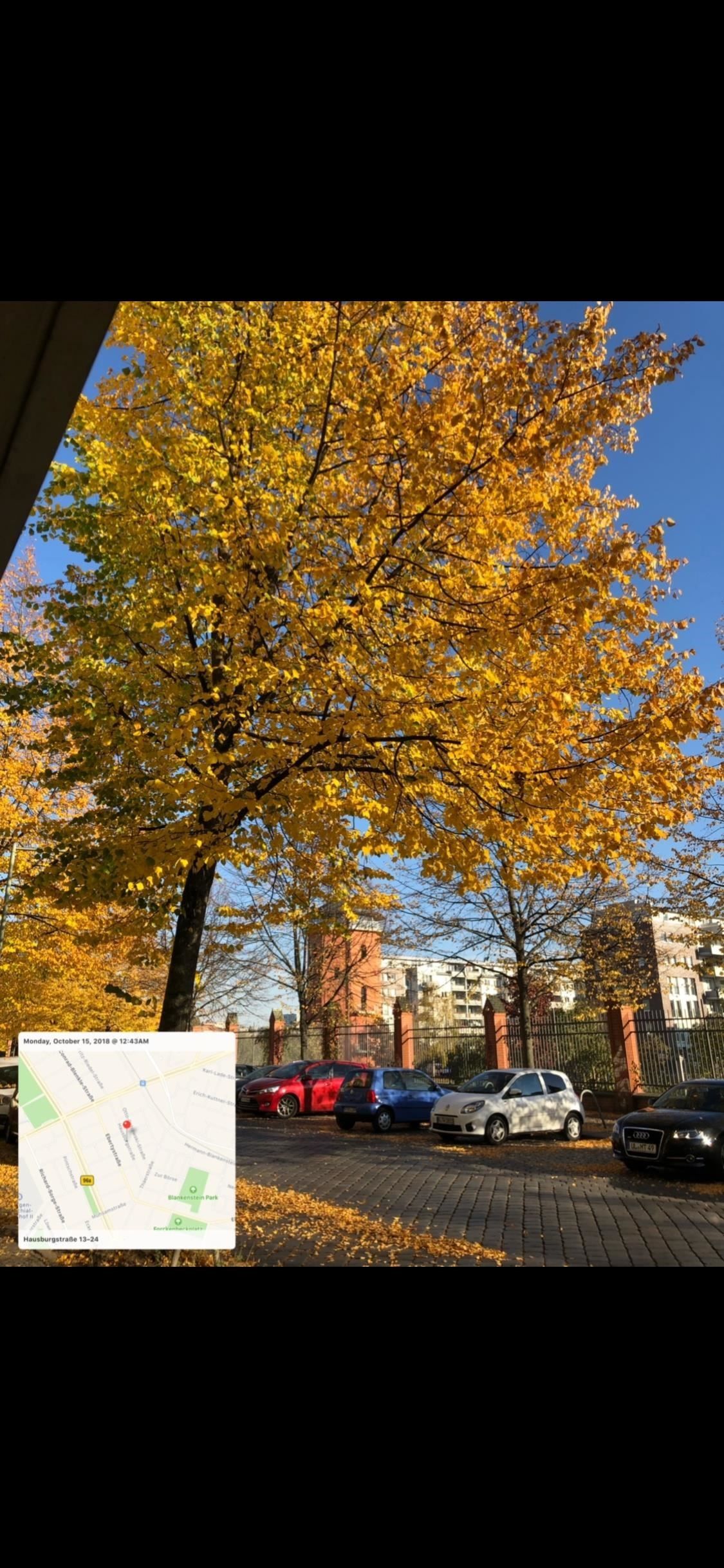 8 ярлыков, чтобы улучшить ваш опыт Instagram на вашем iPhone