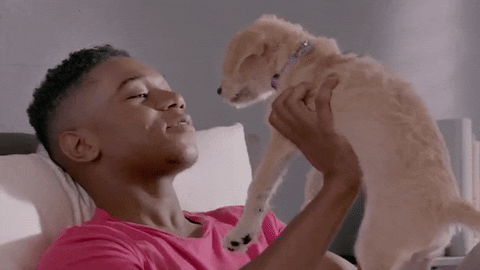 Прелестный щенок