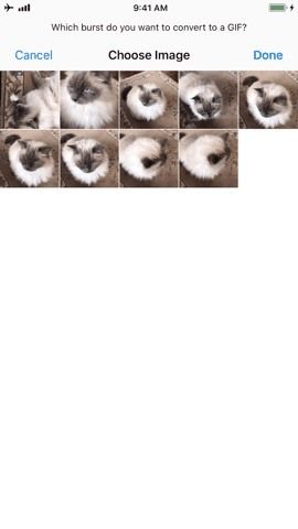 Как превратить серийные фотографии в GIF на вашем iPhone