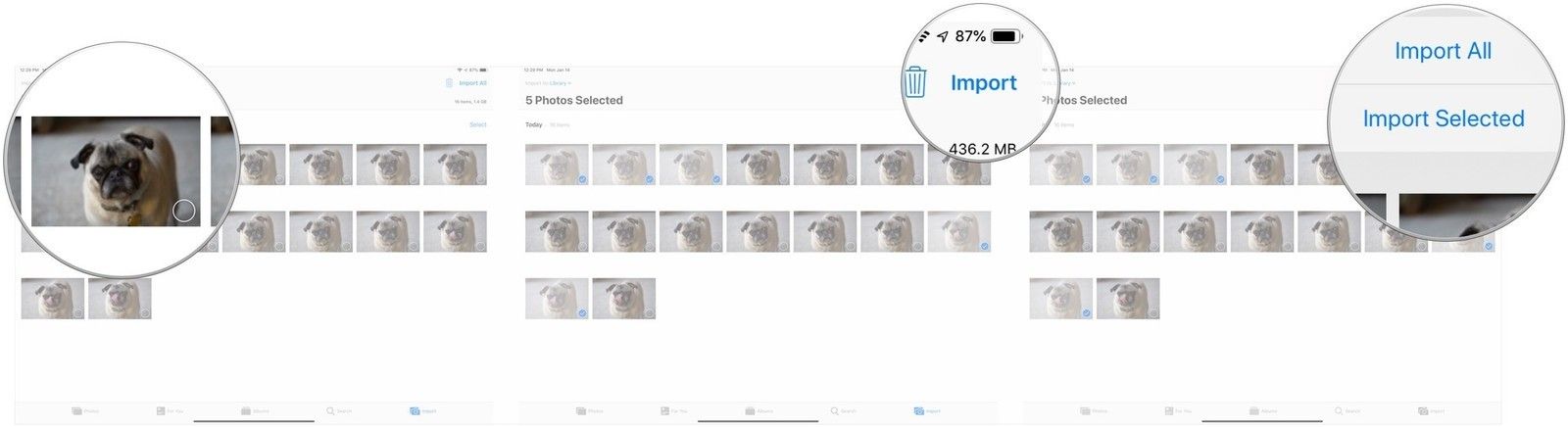 Нажмите изображения, нажмите импорт, нажмите выбранный импорт