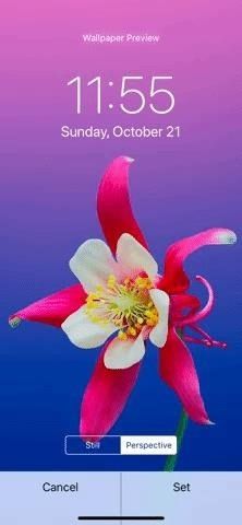 Главное руководство по настройке вашего iPhone