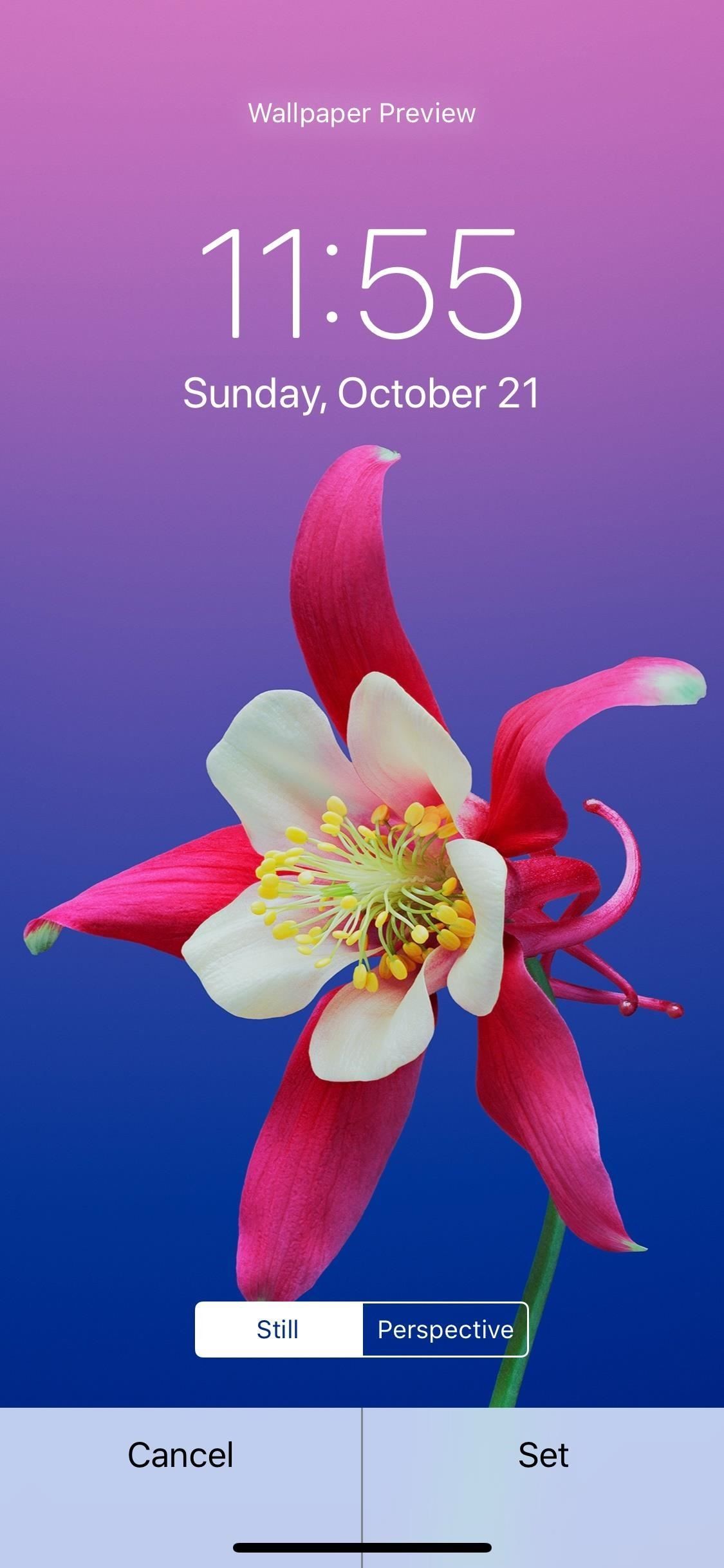 Главное руководство по настройке вашего iPhone