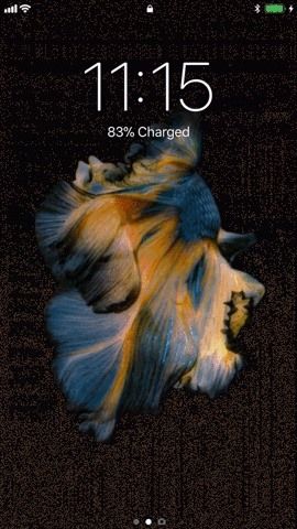 Главное руководство по настройке вашего iPhone