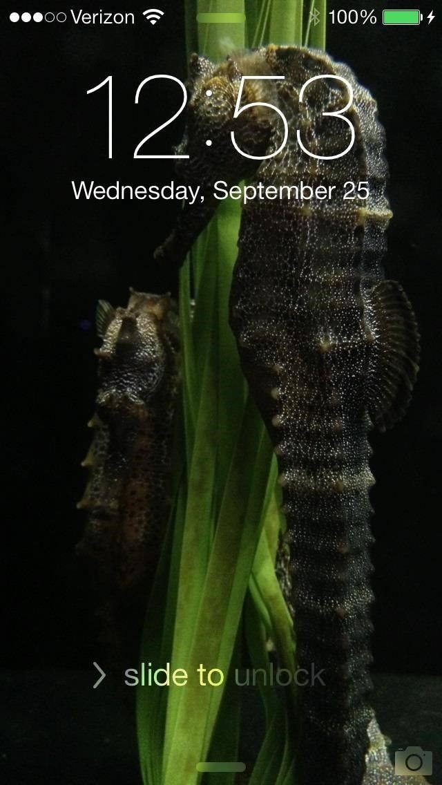 Исправление проблем с обоями для iOS 7: как масштабировать, кадрировать, выравнивать и создавать идеальный фон для iPhone