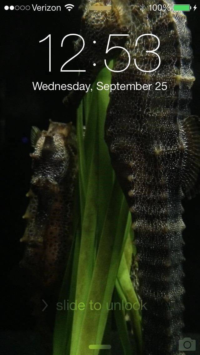 Исправление проблем с обоями для iOS 7: как масштабировать, кадрировать, выравнивать и создавать идеальный фон для iPhone
