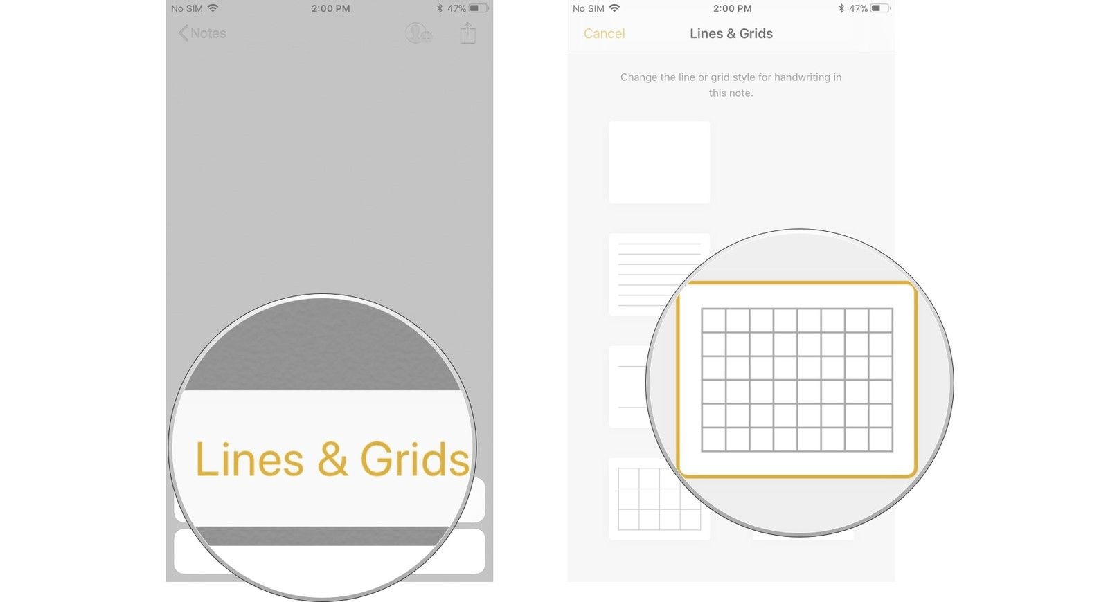Нажмите Линии и сетки, выберите сетку
