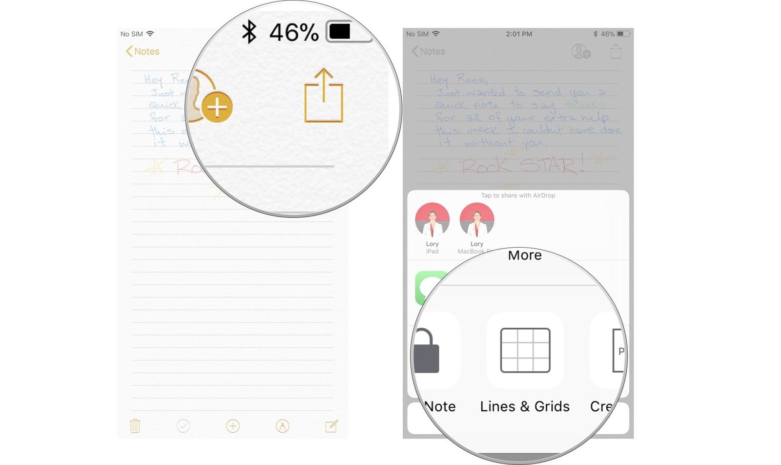 Нажмите значок «Поделиться», затем нажмите «Линии и сетки».