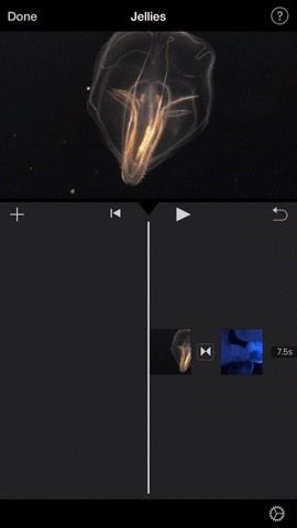 Как добавить переходы In-In, Fade-Out и Fade-Through в проекты iMovie на вашем iPhone