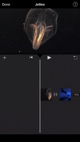 Как добавить переходы In-In, Fade-Out и Fade-Through в проекты iMovie на вашем iPhone