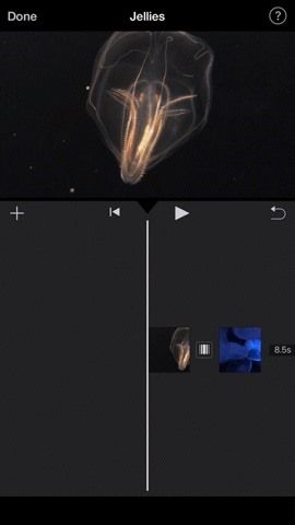 Как добавить переходы In-In, Fade-Out и Fade-Through в проекты iMovie на вашем iPhone