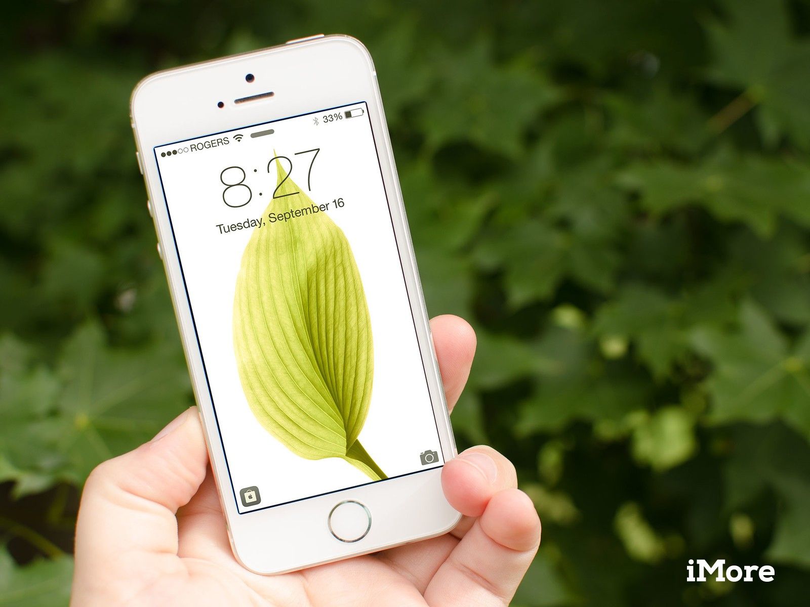 Как включить и отключить предложения приложений в iOS 8