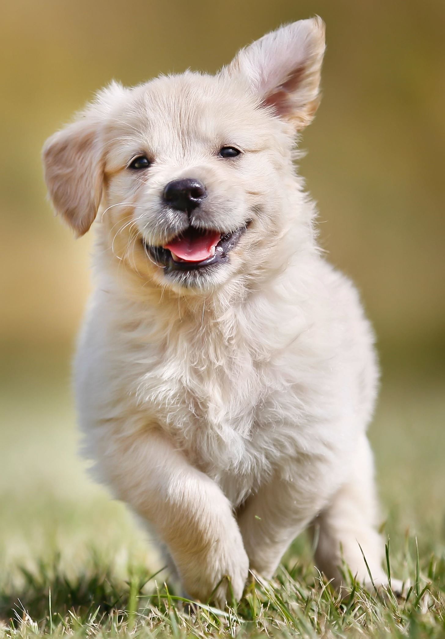 Создание Emoji Art из ваших фотографий с помощью этого забавного инструмента