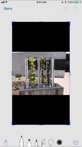 18 советов для iOS 11's New Screenshot Tool on Your iPhone