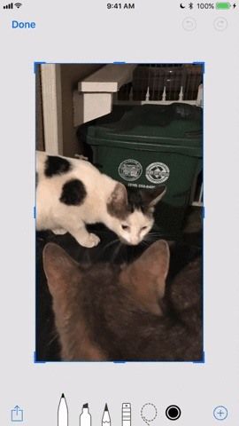 18 советов для iOS 11's New Screenshot Tool on Your iPhone