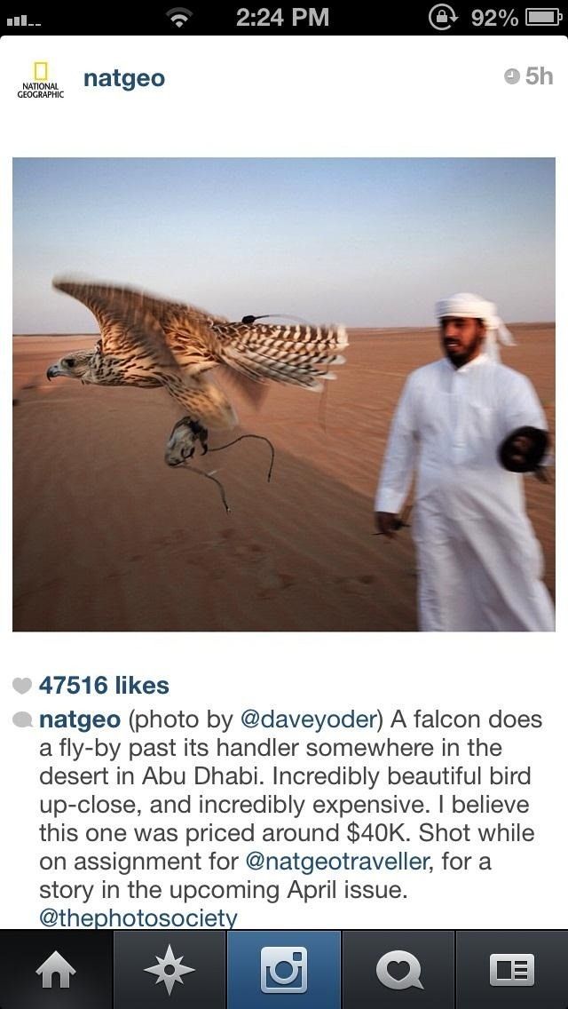 Как запустить все приложения для iPhone 5 в полноэкранном режиме