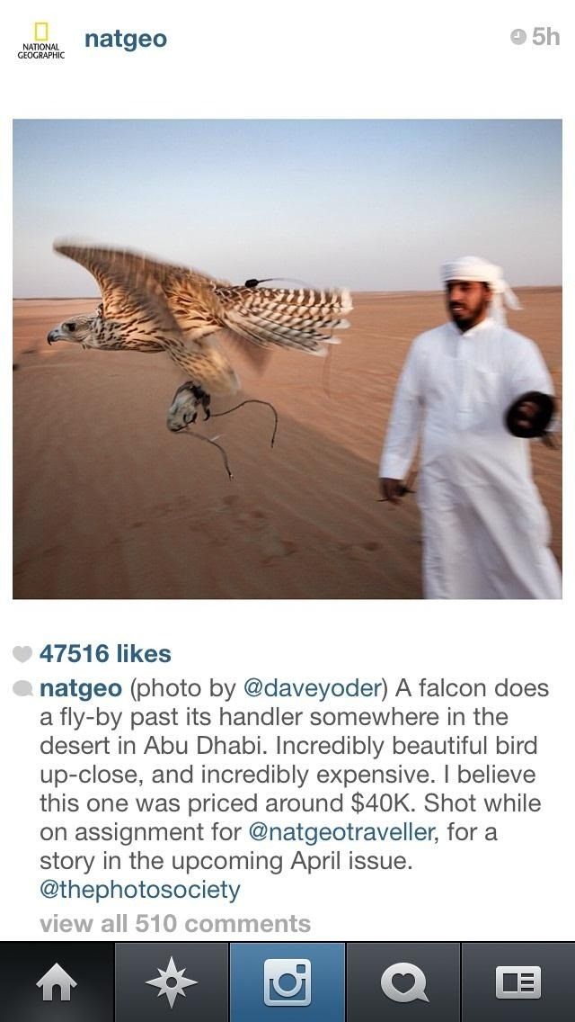 Как запустить все приложения для iPhone 5 в полноэкранном режиме