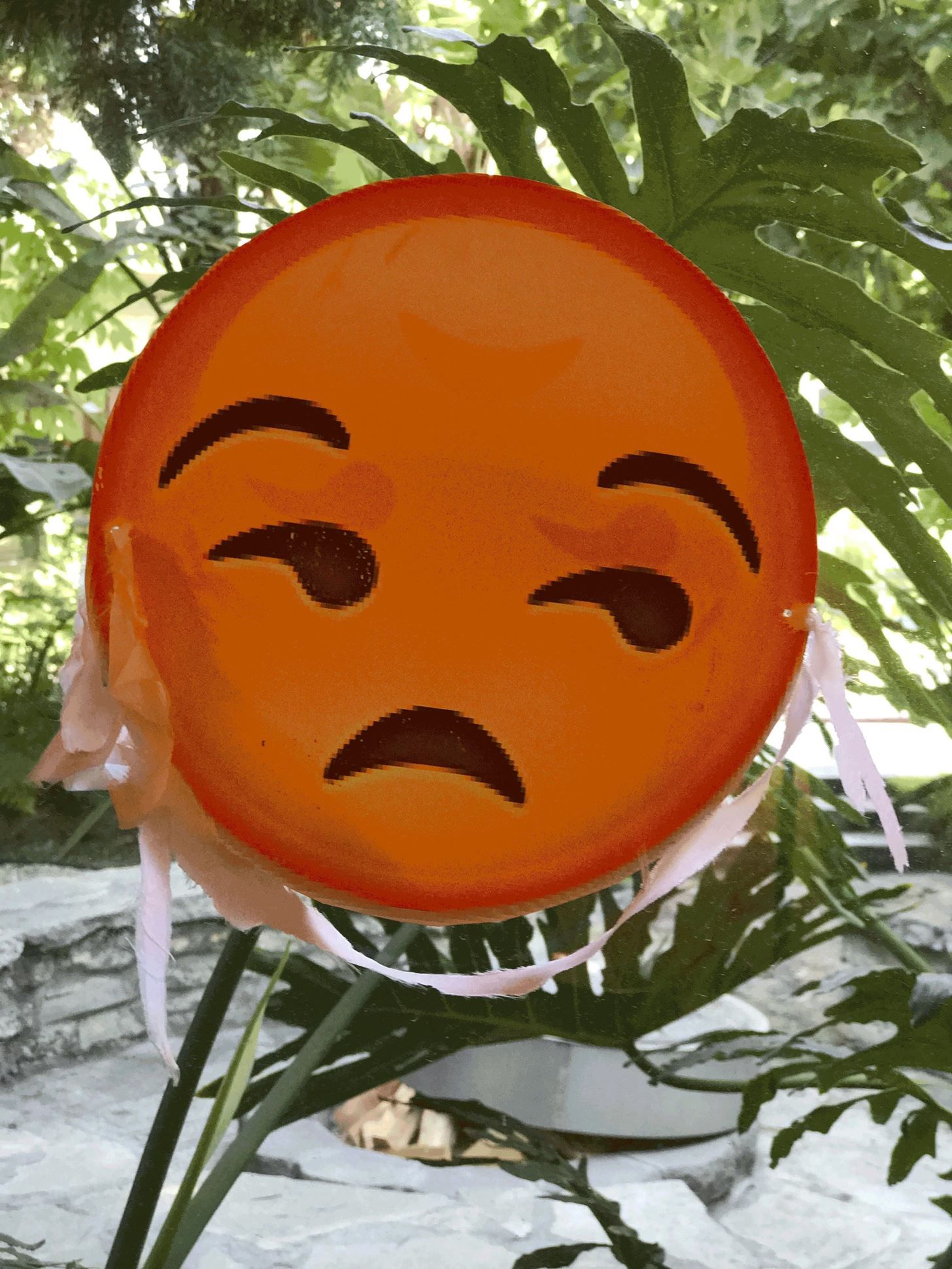 Как отключить портретный режим от использования места на вашем iPhone 7 Plus