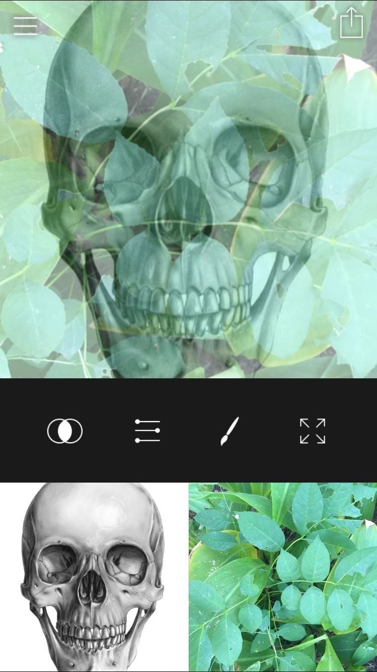 Создавайте фото и видео с двойной экспозицией на вашем iPhone
