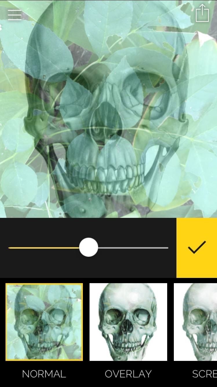 Создавайте фото и видео с двойной экспозицией на вашем iPhone