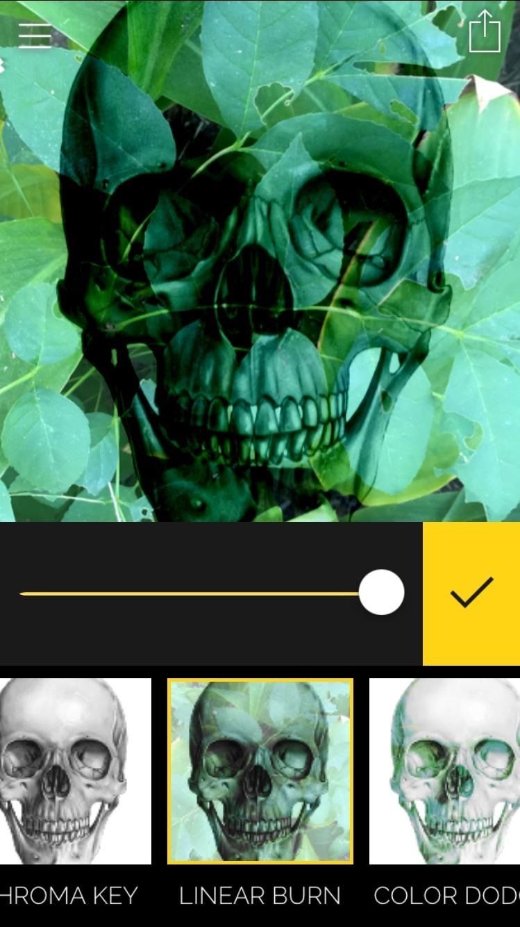 Создавайте фото и видео с двойной экспозицией на вашем iPhone