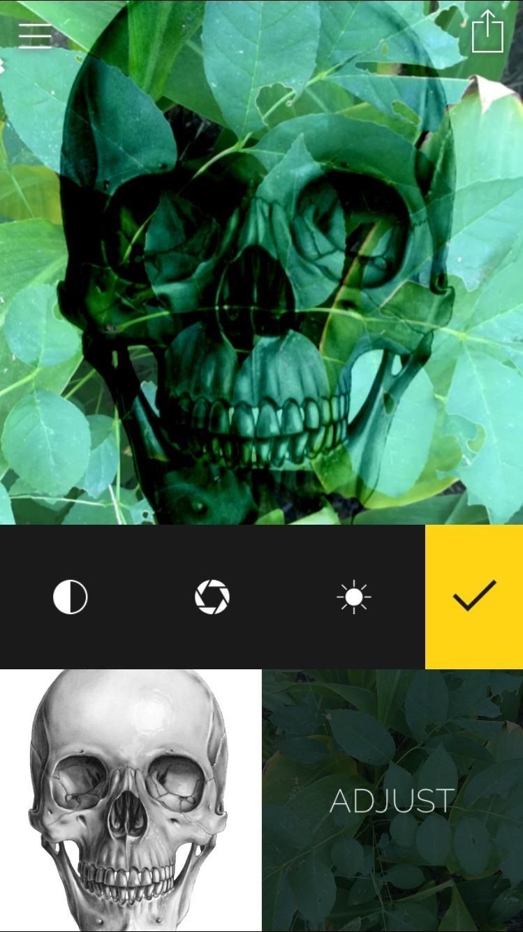 Создавайте фото и видео с двойной экспозицией на вашем iPhone