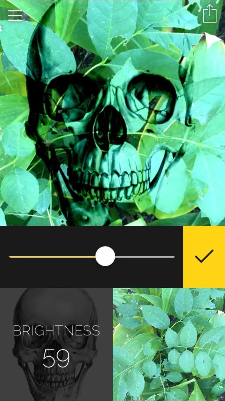 Создавайте фото и видео с двойной экспозицией на вашем iPhone