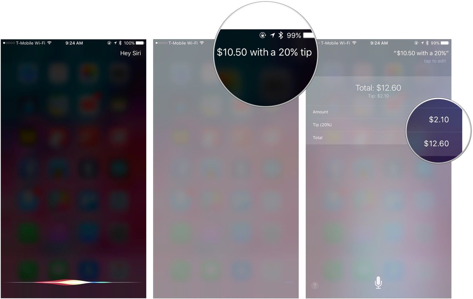 Активируйте Siri, выскажите свой счет и желаемый совет, получите суммы