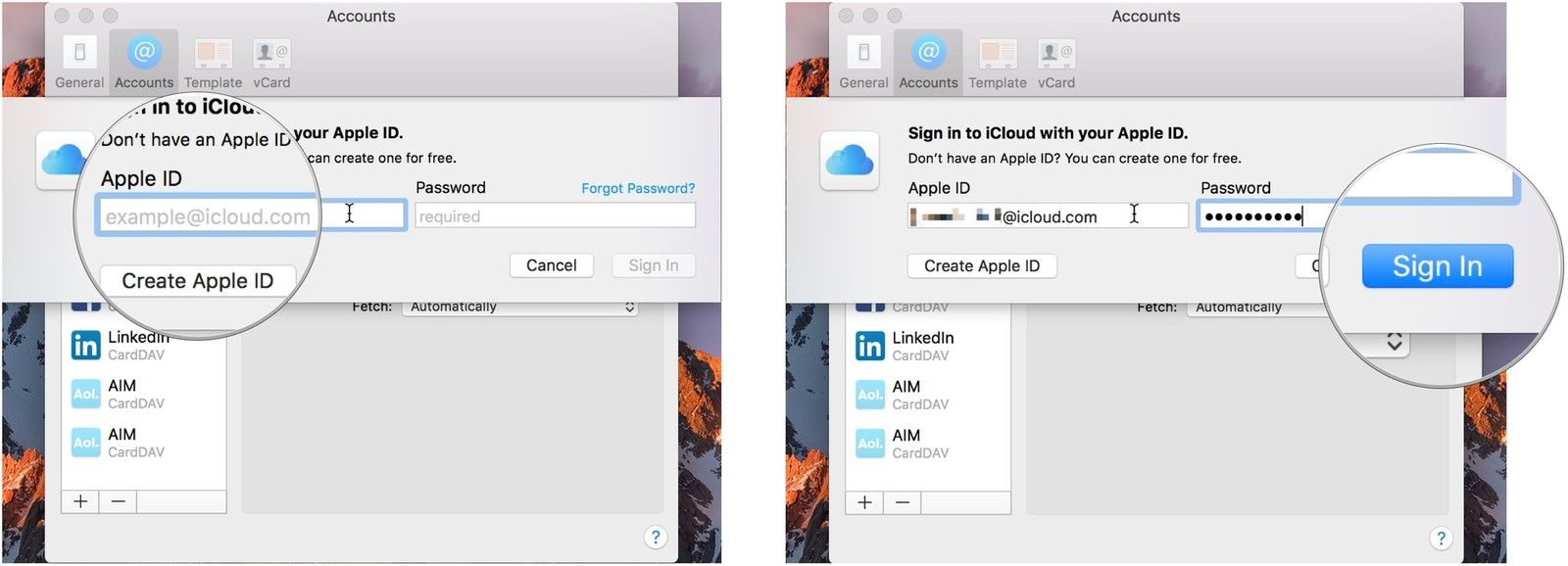Введите учетные данные, нажмите Sing In