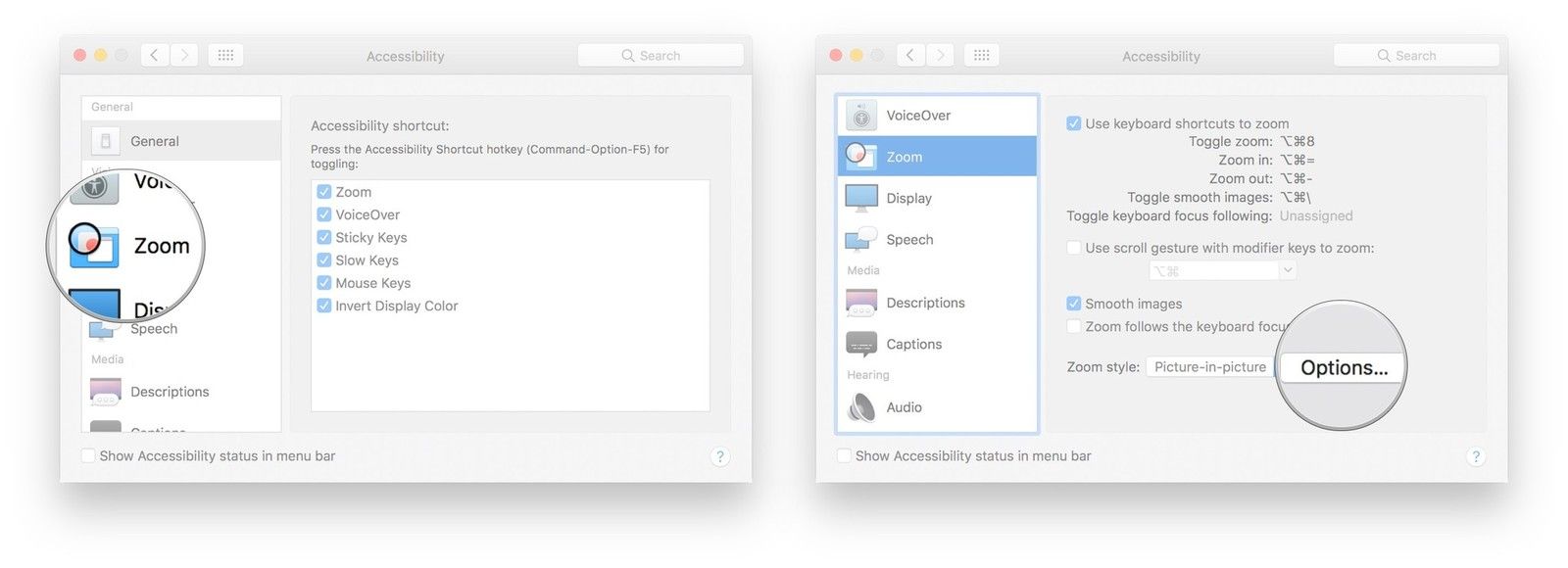 Нажмите Zoom в меню слева, нажмите Опции рядом с Картинка в картинке