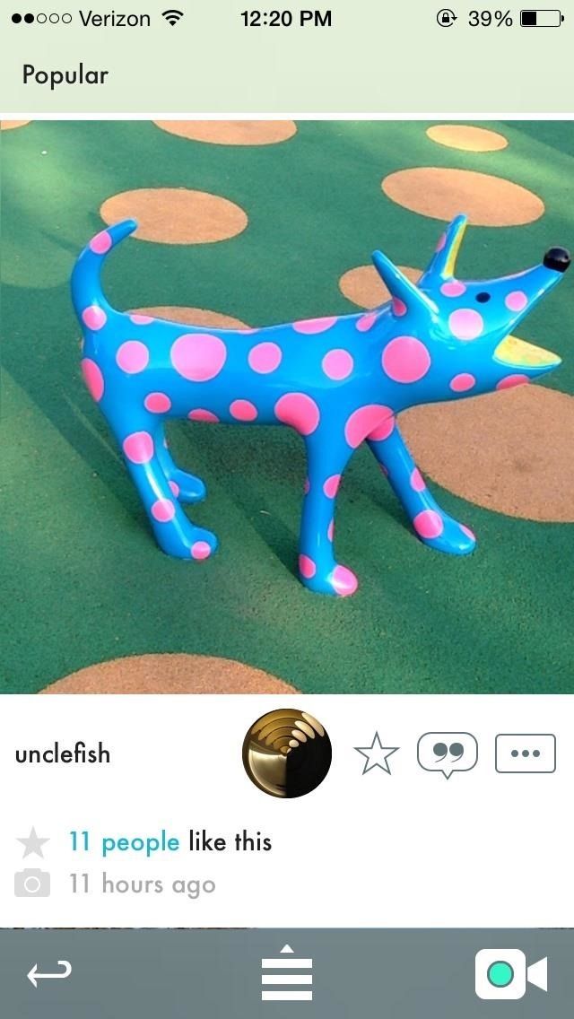 Как сделать совместные 3D-фотографии любого предмета с помощью вашего iPhone