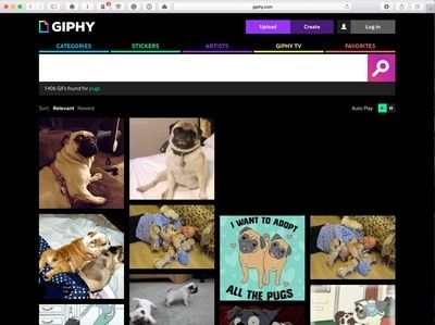 GIPHY