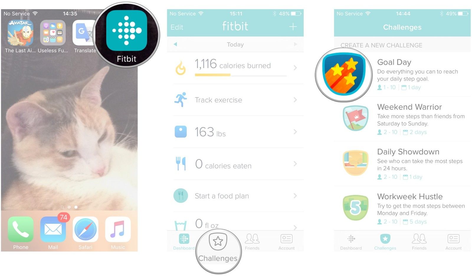 Запустите Fitbit, нажмите вызовы, нажмите вызов
