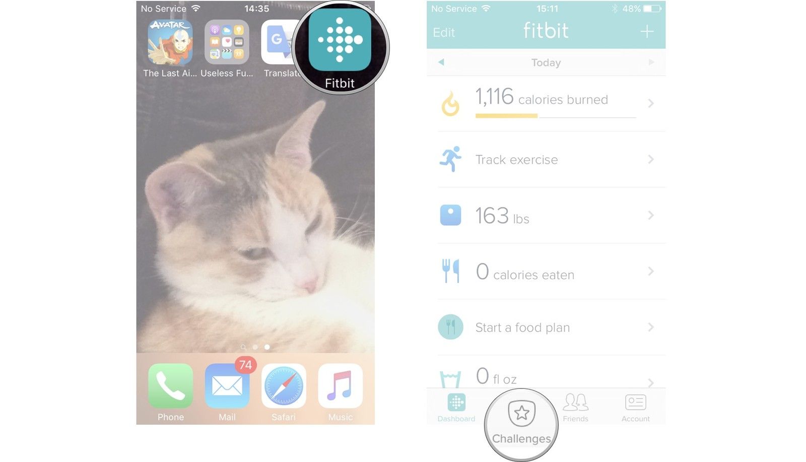 Запустите Fitbit, нажмите вызовы