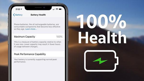 Как решить проблемы с отображением на экране и зелеными линиями в Apple iPhone XS [Руководство по устранению неполадок] 1
