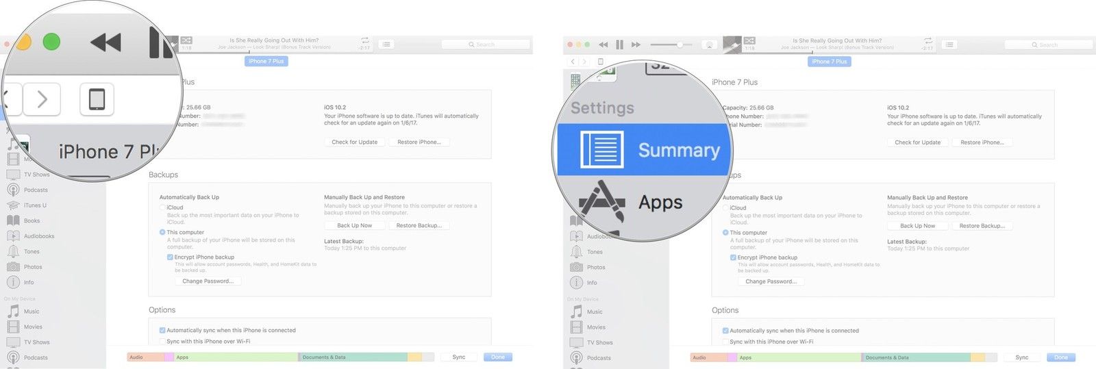 Запустите iTunes, затем выберите значок устройства, затем нажмите «Сводка» на боковой панели.