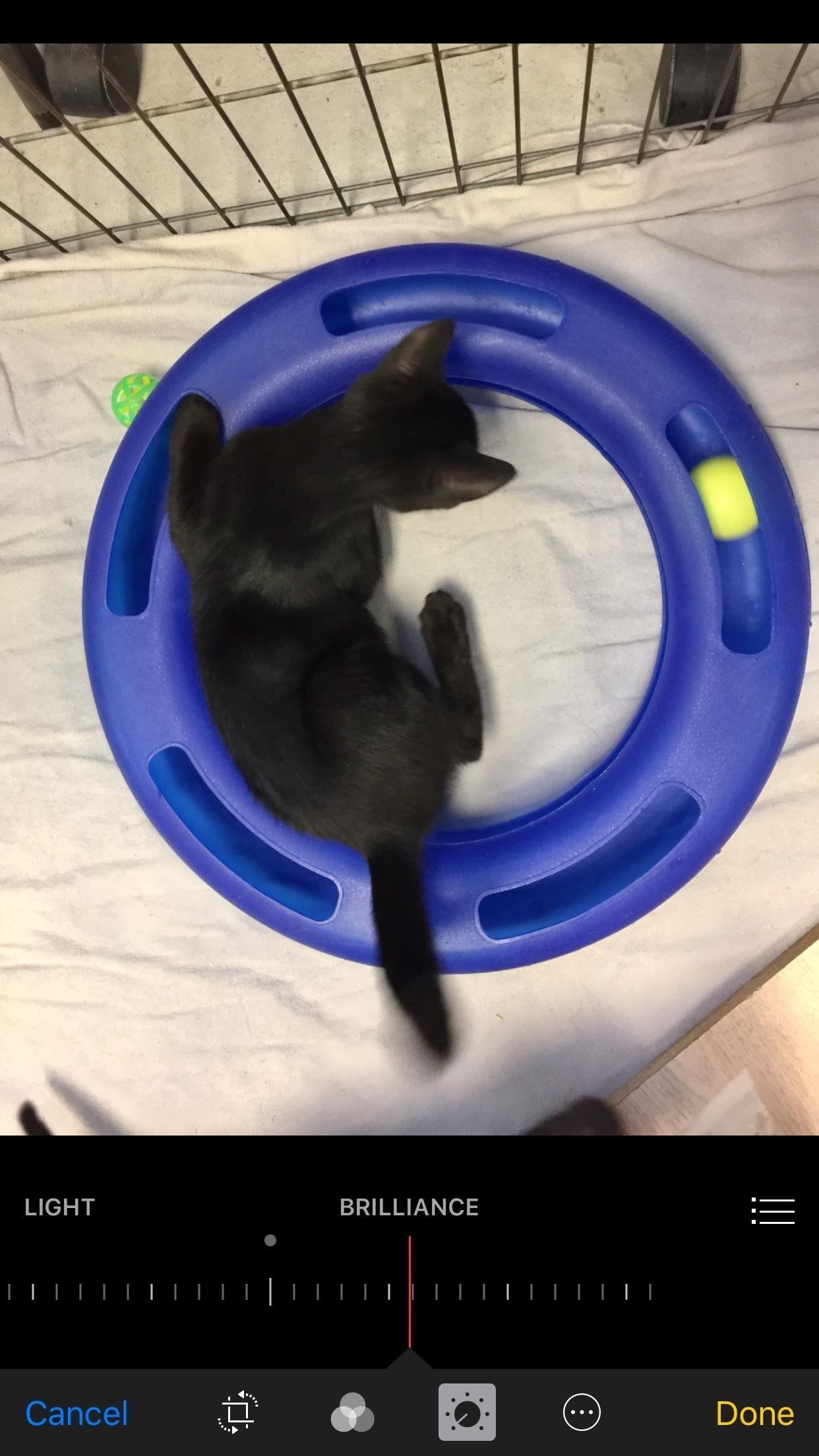 68 самых крутых новых функций iOS 10, которые вы сделали't Know About