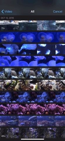 Как добавить больше видеоклипов в проекты iMovie на вашем iPhone