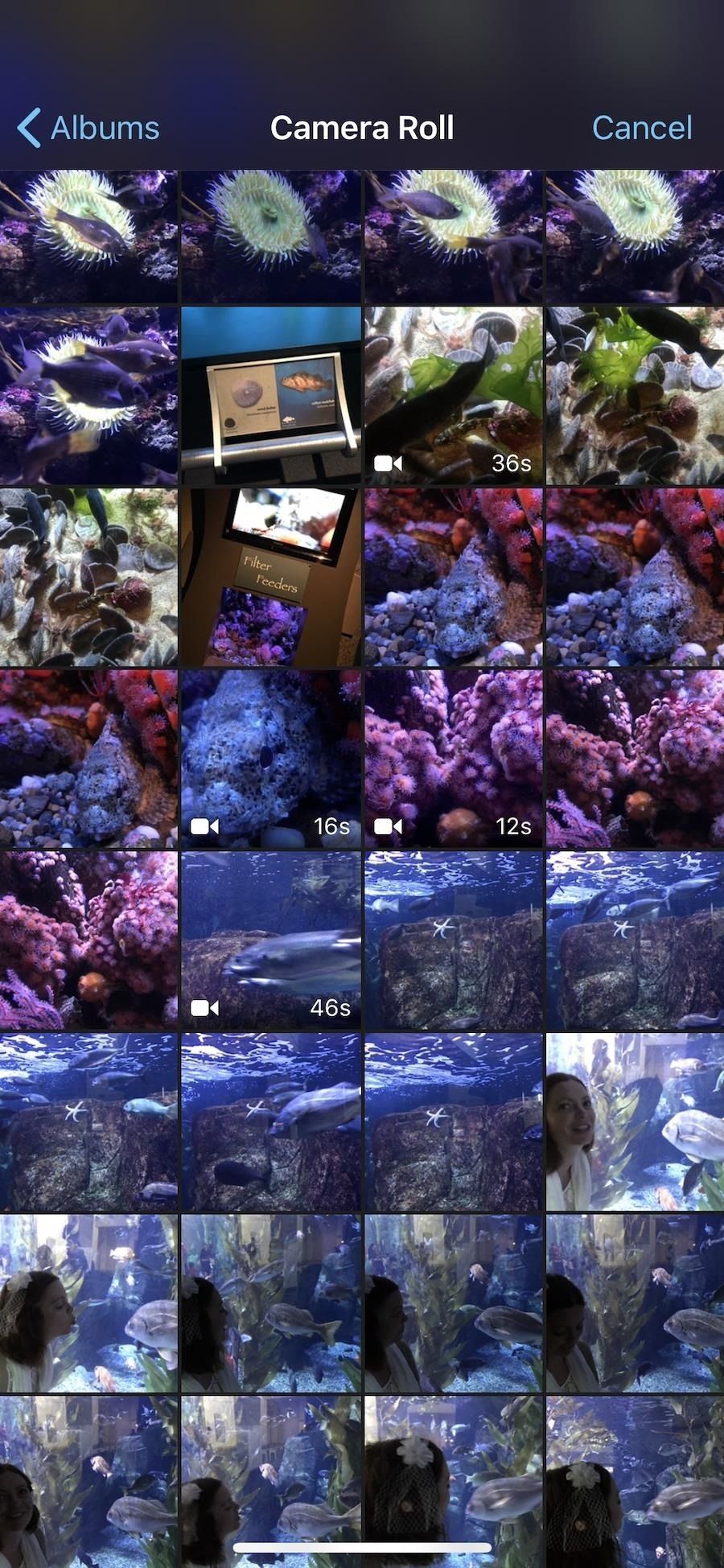 Как добавить больше видеоклипов в проекты iMovie на вашем iPhone