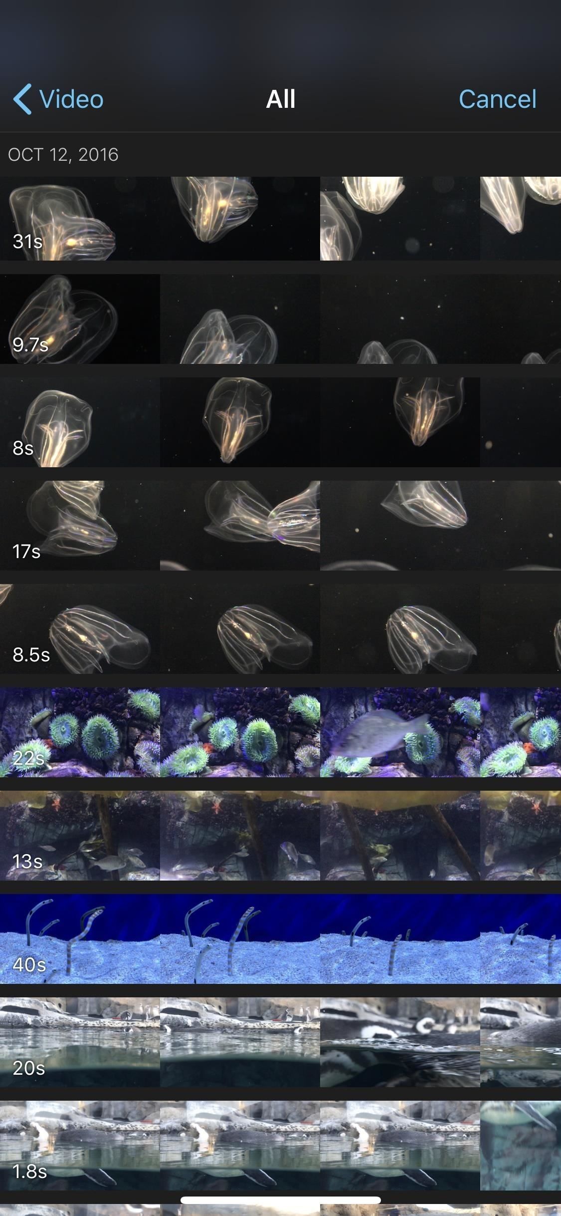 Как добавить больше видеоклипов в проекты iMovie на вашем iPhone