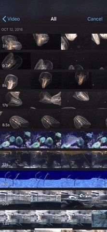 Как добавить больше видеоклипов в проекты iMovie на вашем iPhone