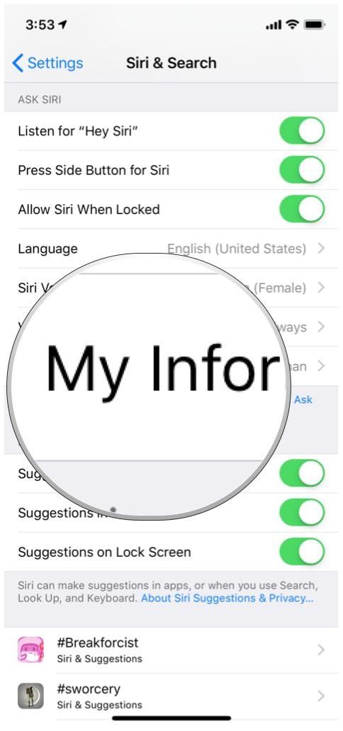 Настройки iOS 12 Siri Поиск Моя информация