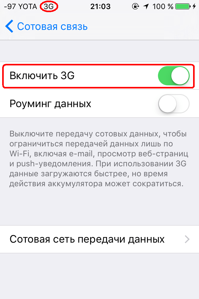 Сбой приложений айфон. Сбой подключения к апп стор. Почему сбой подключения к app Store. Почему не могу зайти в аппсторе на айфоне. Включите передачу данных по сотовой сети.