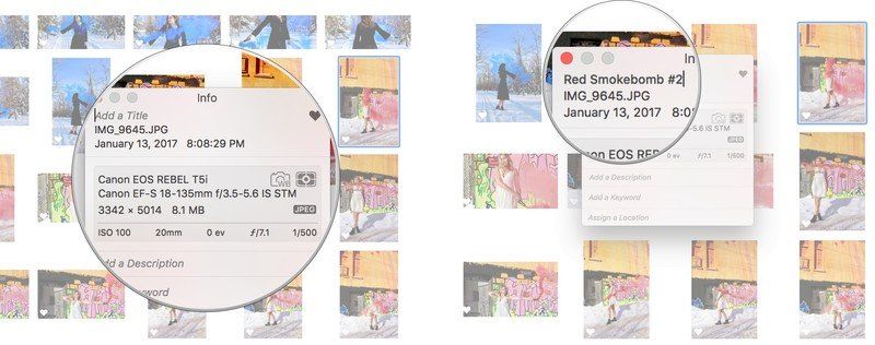 Фотографии Название Описание Ключевые слова