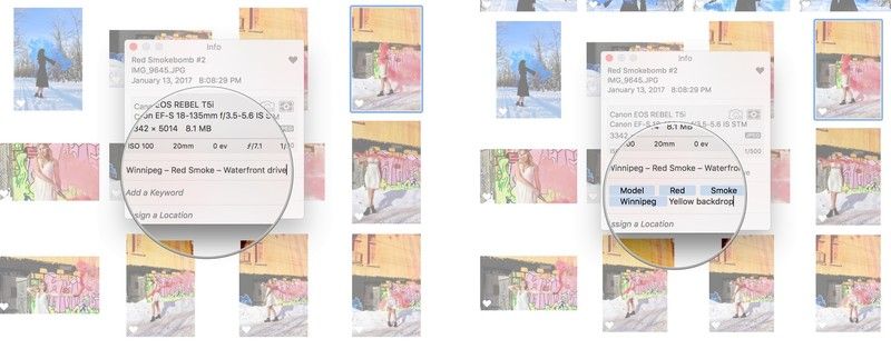 Фотографии Название Описание Ключевые слова