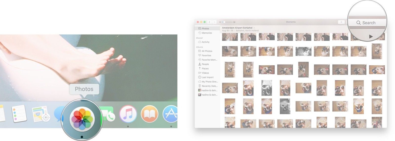 Запустите приложение «Фото» и щелкните панель поиска в правом углу.