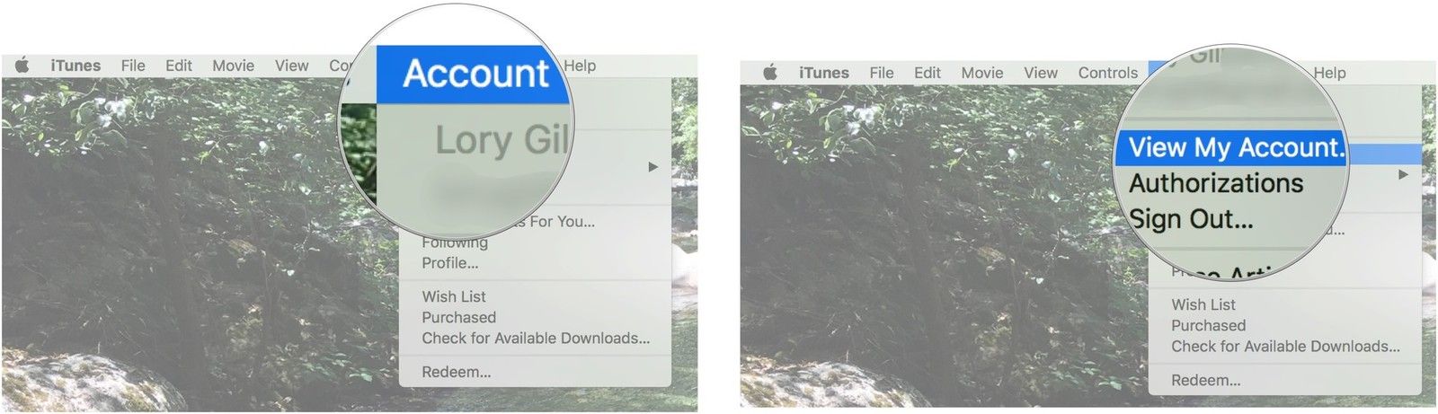 Нажмите на учетную запись, затем нажмите «Просмотреть мою учетную запись»