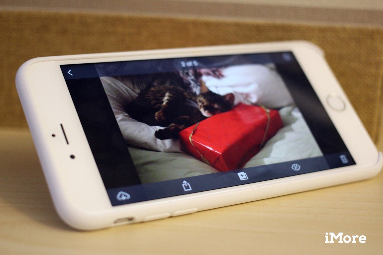 Амазон Фотографии