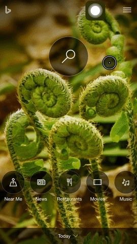 Как перевести веб-страницы в Safari на ваш iPhone