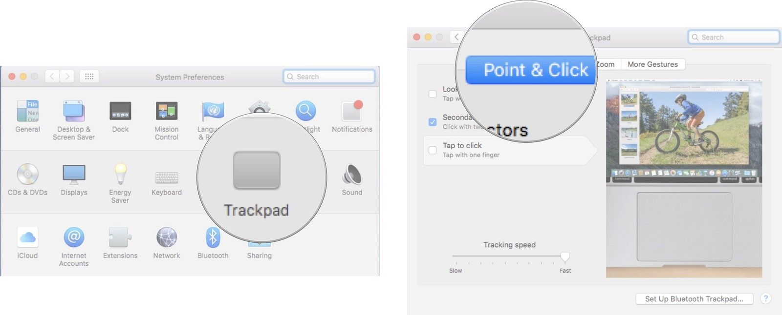 Выбор Point & Click в Системных настройках на Mac